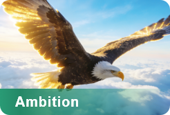Ambition