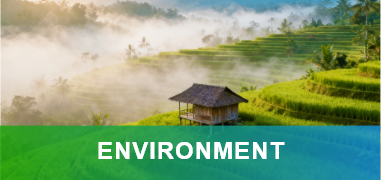 Environment