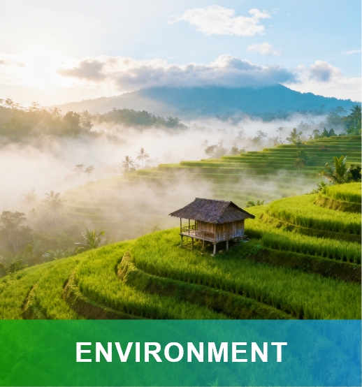 Environment